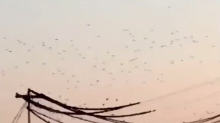 อันตรายมีอยู่ทุกที่