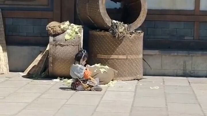 เด็กสาวขอทานสามารถสื่อสารกับพืช_ ช่วยชีวิตเจ้าหญิงราชสันต์ ตำนานปกป้องเธอแบบปราบมือ[เต็มเรื่อง]