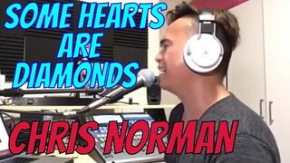 SOME HEARTS ARE DIAMONDS - Chris Norman (Cover by Bryan Magsayo - Online Request)