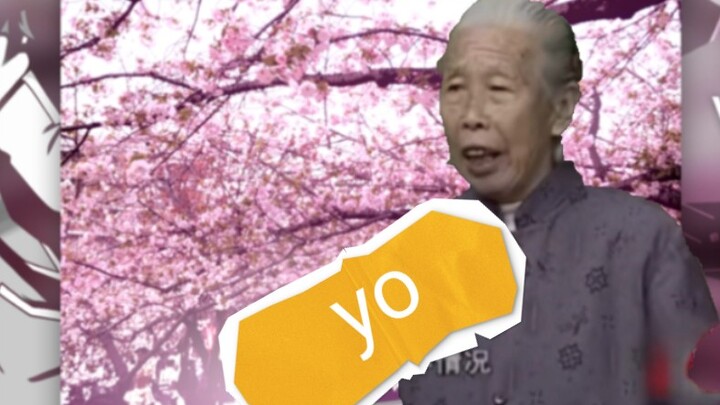 yo~树 街 道