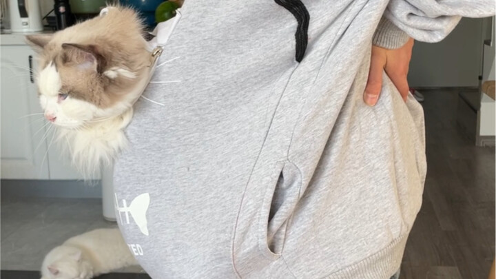พกแมวน้อยหนัก 20 ชั่งใส่กระเป๋าเสื้อฮู้ดออกไปข้างนอก