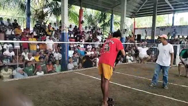 Quadro de jack Farm win vs GCL Gerald cerda team rizal second fight