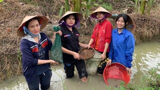 Tát Vũng Bắt Cá Rô Trong Ruộng Về Chiên Xù | NĐMT#126