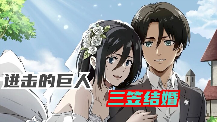 Did Mikasa end up getting married? Did Mikasa and Eren take their child to see Armin?