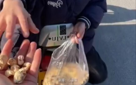 Social Butterfly Girl Wants Popcorn!