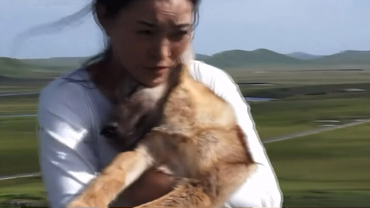 Mẹ chỉ dùng hai đôi giày và một lòng dũng cảm đơn độc là đã xông lên rồi