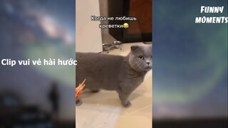 fm44-3 - Khoảnh khắc vui vẻ hài hước