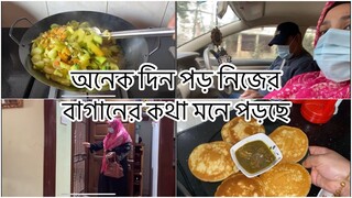 নিজের বাসা বাগান সব কিছুকে অনেক মিছ করি || ১২ ভাজা খেতে কোথায় যাচ্ছি আজ // সাথে থাকছেন তো সবাই || Ms