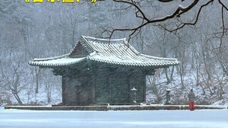 不一样的僵尸电影，承包你一年的笑点