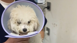 طالما أن المال متوفر، فسيتم إجراء أي عملية جراحية.