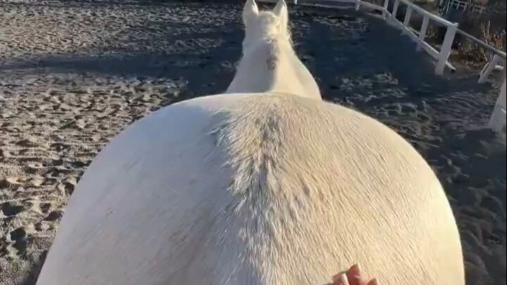 Trống lớn hoàn hảo