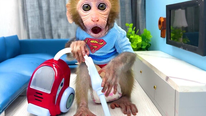ลิงน้อย Bon Bon ทำความสะอาดบ้านและเล่นกับเพื่อนๆ ของเขา