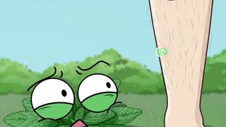 Rumput yang terlihat dimana-mana memiliki fungsi yang "luar biasa" ini?