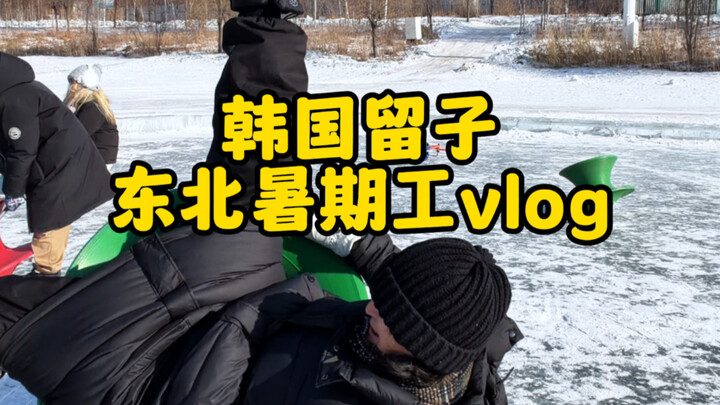 Korean Student’s Northeast Summer Job Vlog