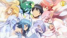 Xem Là Nghiện - Tôi Có Dàn Người Iu Là Nhân Thú | AMV Monster Musume no Iru Nichijou