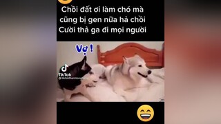 xem cười vỡ bụng😂😂cuoivuimoingay1 xuhuongtiktok hàihướcvuivẻ 😂😂😂😂😂😂😂😂😂😂😂😂😂😂😂