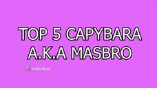 Top 5 Masbro🗿