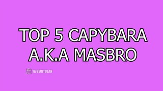 Top 5 Masbro🗿