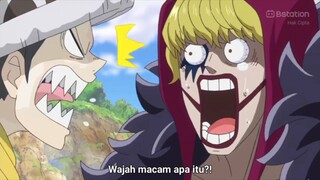 corazon udah kayak bapaknya law gemes banget