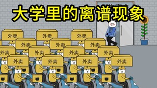 大学里的离谱现象