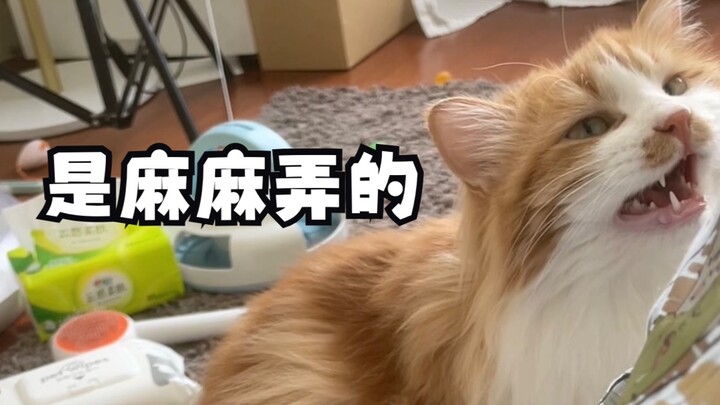 Just because you’re cute doesn’t mean you can wrongly accuse people, right?