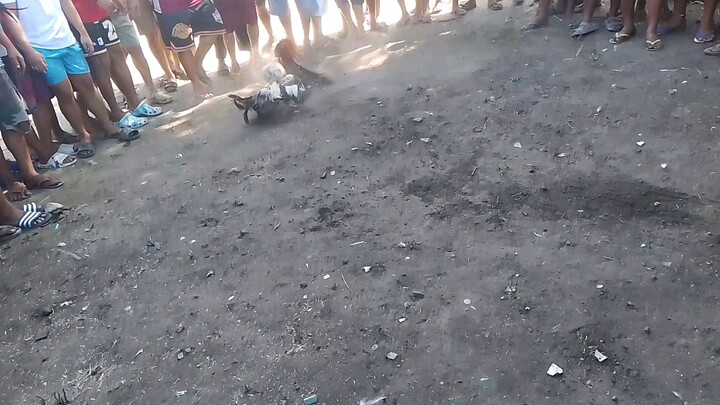 Triple J B.Yard unang sabak naka sibak