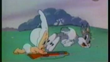 Bugs Bunny & Daffy Duck บักส์บันนี แอนด์ แดฟฟี่ดั้ก VCD Vol.5