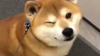 เป็นไปไม่ได้ พยายามอย่าหัวเราะ สะอาด ตอนที่ 5