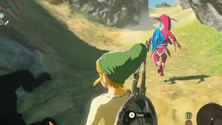 Dream come true! The Legend of Zelda Breath of the Wild Multiplayer Mod