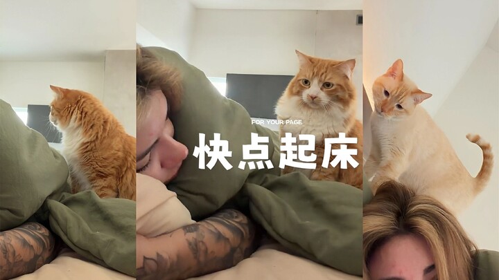 ผู้ใหญ่ที่เลี้ยงแมวสองตัว จะนอนตื่นสายได้ยากขนาดไหน!!
