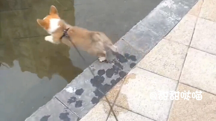 Anak ini selalu bisa mengocok perutku dengan lucunya!