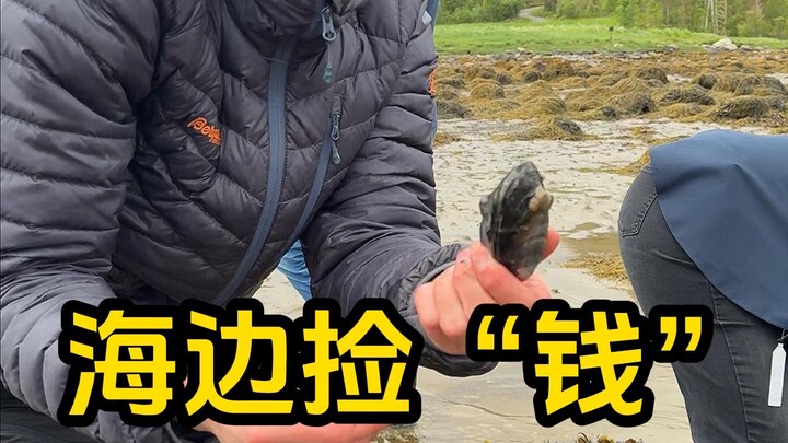Even going tide‑pooling has its downsides: I took some expat neighbors along for the experience, and