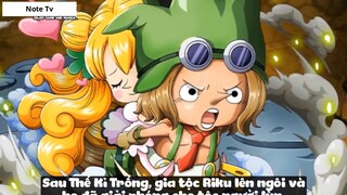 Top 7 Vương Quốc Kì Lạ Trong One Piece #17- 7