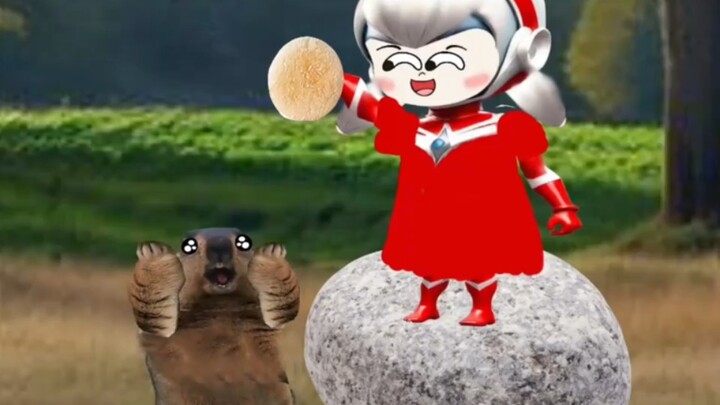 小乔妹妹喜欢土播鼠