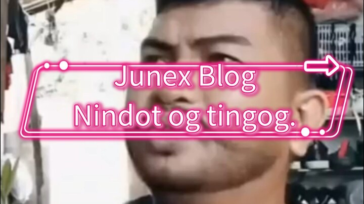 Nindot og tingog.