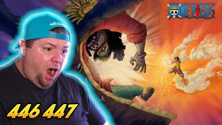 Luffy Vs Blackbeard! One Piece REACTION - Episode 446 & 447