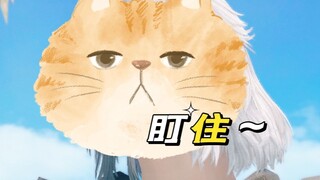 【FF14/6.0】想一直看到古代梅所以就录了