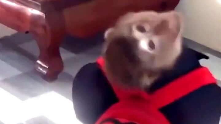 Okay, okay, okay—so this is how all the transitions are done, huh?