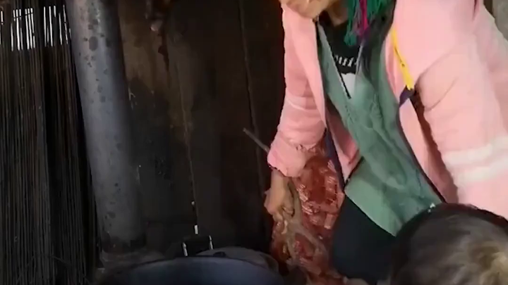 Gia đình Tiểu Anh: Những đóa hồng bảo vệ Đại Bảo
