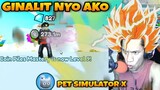 Nag Super Saiyan Ako Sa Pet Simulator X - Roblox Tagalog