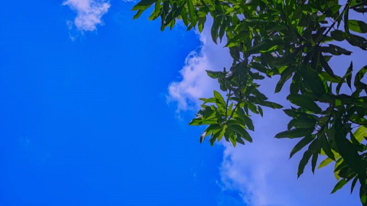 sky and cloud