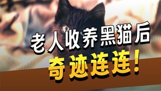 “A black cat that brings good luck—do you want one?”