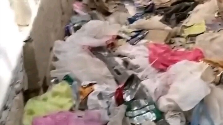 Bikin Sedih!! Pria Ini Menyelamatkan Kucing Sekarat Ditempat Sampah