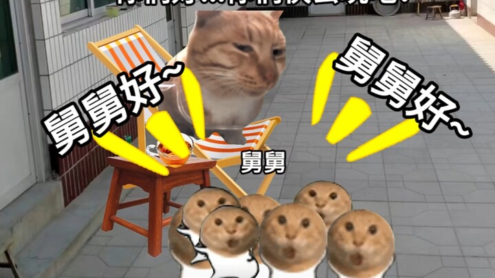 七个外甥来舅舅家过暑假，舅舅欲哭无泪！