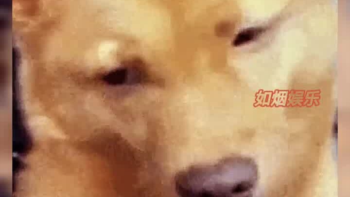 “This whole thing and my fingers still don’t even feel clean—no wonder I lost the skin off ’em!” “Ne