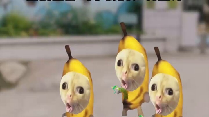 Tôi đã tạo ra một loại súng nước đồ chơi có hương vị mới và bọn bắt nạt ở trường đã khen ngợi sau kh