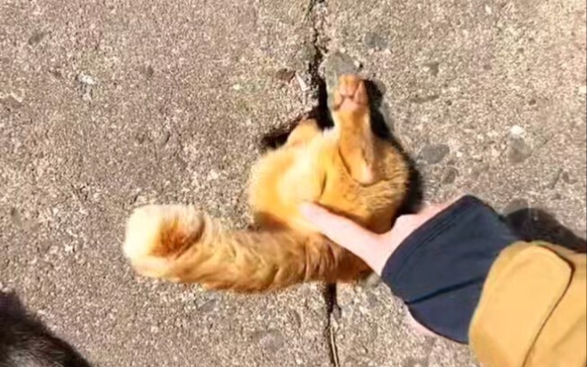 Da Ju: Are you being polite?