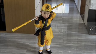 One and a half year old Sun Wukong!