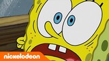 SpongeBob | SpongeBob Kehilangan Label Namanya! | Nickelodeon Bahasa