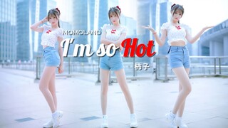 【柿子】I'M SO HOT！融化你火热的感觉【5周年作】